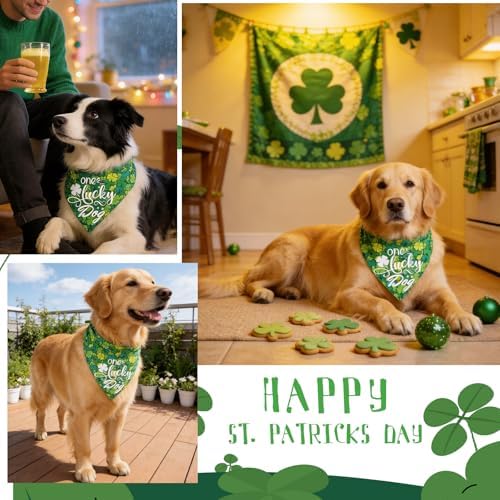 Dog Bandana for St. Patricks Day 2-in-1 Reversible - One Lucky Dog & 4-Leaf Clover Design, Pet Scarf with Snap Button Cute Lucky Holiday Costumes, Small & Medium Breeds (5-30lbs) - Image 4