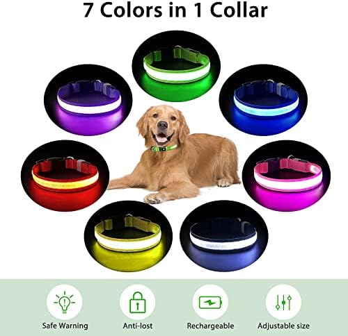 PcEoTllar Light up Dog Collar, Safe for Night Walking, Adjustable, Black, S - Image 4