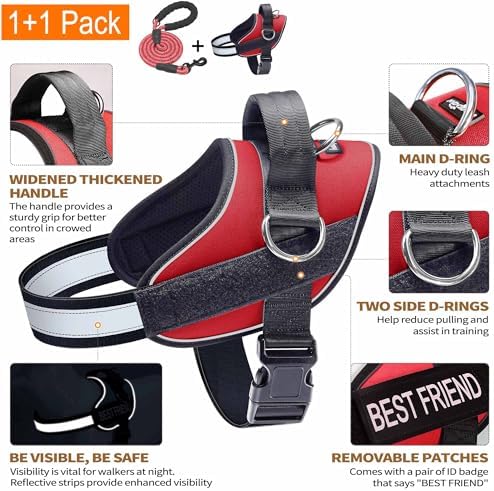 Haapaw Essential Dog Harness, No Pull Pet Vest with 3 Leash Clips, No Choke, Reflective, Adjustable and Padded, for Easy Walking and Training for Large Dogs(XL, Red) - Image 2