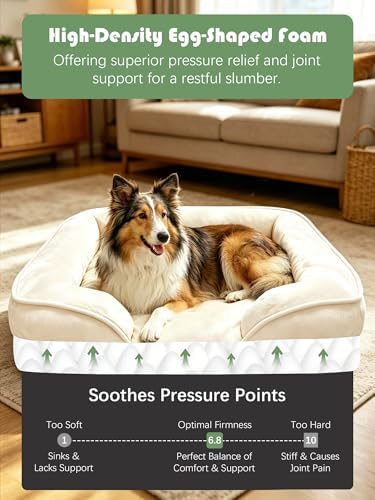Spotted Play Orthopedic Dog Bed with Sides - Sofa Beds for Large Dogs, Supportive Foam Pet Couch Bed with Washable Removable Cover, Waterproof Lining and Non-Slip Bottom, Ivory - L-Plus - Image 4
