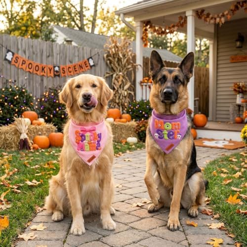 PTDECOR Halloween Dog Bandanas Girl, Knitter‑Look Print Pet Scarf, X-Large - Image 2