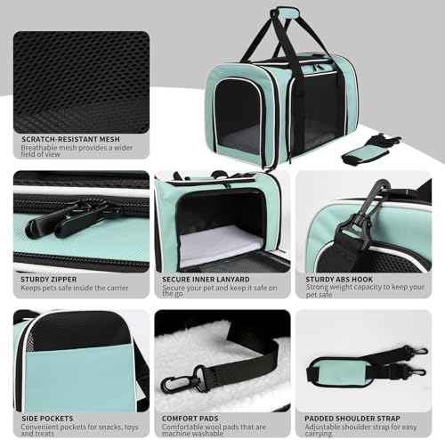Cat Dog Carriers Soft-Sided, Pet Travel Carrier for Small Cats Dogs Under to15lbs, Soft-Solid Collapsible Carrier,(Medium,Green) - Image 3