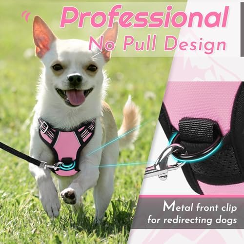 Eagloo Dog Harness for Small Dogs, No Pull Pet Vest with 2 Leash Clips - Image 3