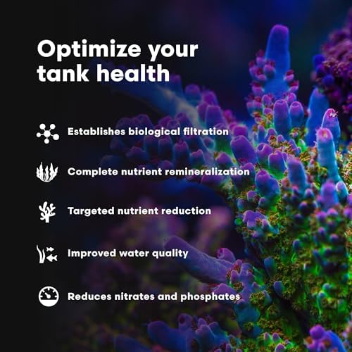 Brightwell Aquatics MicroBacter7 Biological Filter Bioculture Aid, 1L - Image 3
