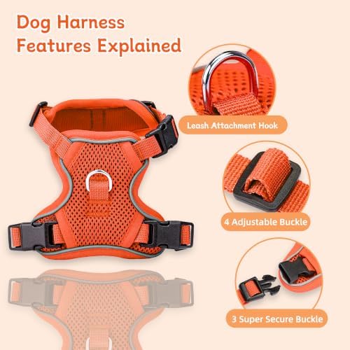 Small Dog Harness and Leash Set, Adjustable Small Sized Pet Vest - Image 2