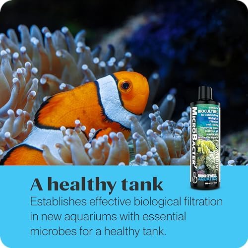 Brightwell Aquatics MicroBacter7 Biological Filter Bioculture Aid, 4L - Image 3