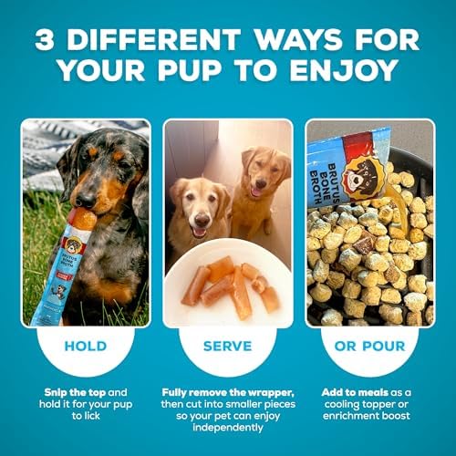 Brutus Brothcicles Frozen Dog Treats - Turkey Flavor Dog Popsicle Snack, Hydrating Frozen Enrichment Treat with Superfoods,12 Fl Oz Pack of 1 (2 oz per Stick) - Image 6