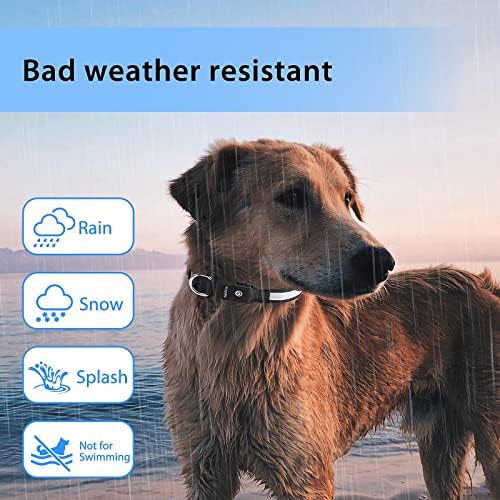 PcEoTllar Light up Dog Collar, Safe for Night Walking, Adjustable, Black, S - Image 5