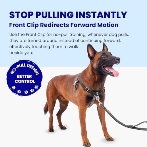 Freedom No Pull Dog Harness, Large Dogs, Black, XX-Large - Image 2