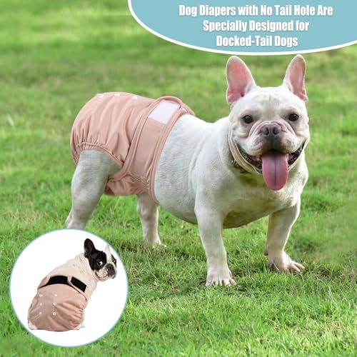 wegreeco Frenchie Dog Diapers Female No Tail Hole, Washable Pet French Puppy Bulldog Diapers Female for Period Heat, Reusable Doggy Doggie Dog Diapers （X-Large） - Image 2