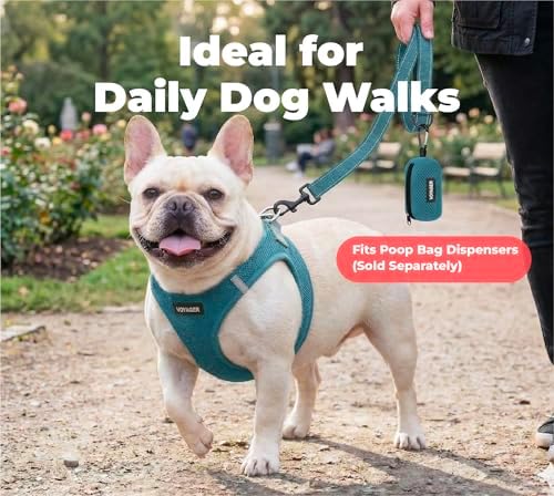 Best Pet Supplies Voyager Nylon Dog Leash - 6ft Turqioise, Large - Image 3