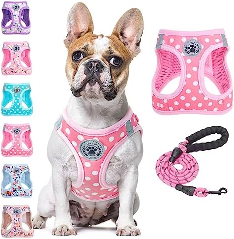 BEAUTYZOO Large Dog Harness and Leash Set,No Pull Puppy Pet Vest - Polka, L by BEAUTYZOO