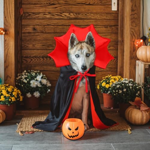 Halloween Dog Cat Costume Vampire Devil Cape for L or XL Adjustable Cloak - Image 6
