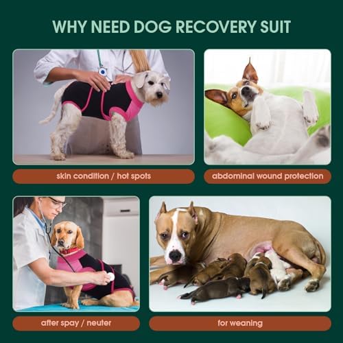 Kuoser Dog Recovery Suit, Female Male Spay Neuter Surgery Suit, Black, XS - Image 2