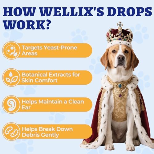 Wellix 120ml Yeast Infection Treatment for Dogs & Cats - Salmon Flavor - Image 5