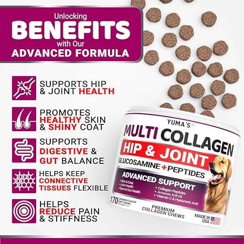 Advanced Collagen for Dogs - 170 Chews - Hip and Joint Supplement Peptides - Image 2