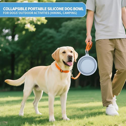 SLSON Collapsible Dog Bowl, 2Pack Macaron Color Pet Travel Bowls Silicone Foldable Water Feeder Dish for Small to Large Dogs Cat Walking Hiking Camping (Macaron Blue and Light Grey, Large) - Image 2