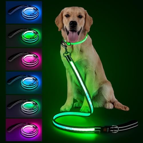 4 Ft LED Dog Leash, Light Up & Lighted Dog Leash, 7 Lighting Modes, Glow in The Dark, Reflective, Double-Sided Light, Rechargeable with Padded Handle for Night Walking Safety, Small to Large Pets by Visinite