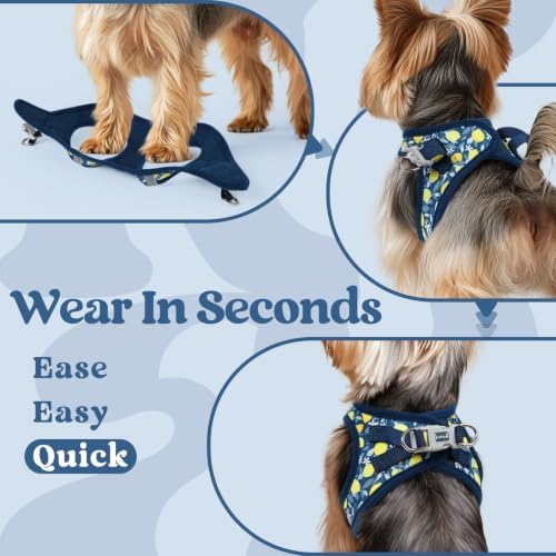 rabbitgoo Step-in Small Dog Harness, Puppy Vest for Small Sized Pet - Image 6