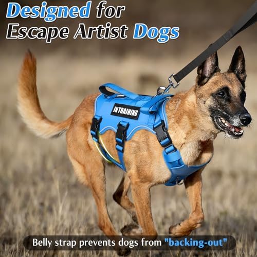WINSEE Escape Proof Dog Harness with Double Handle+4 Removable Patches - Image 2