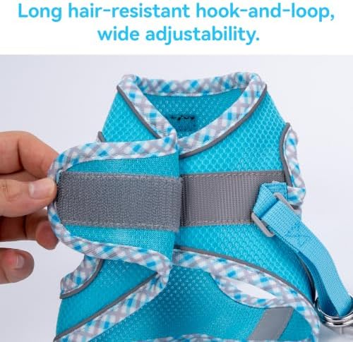 Petank Step in Dog Harness No Pull and Leash for Small Medium Dogs Cats. - Image 4
