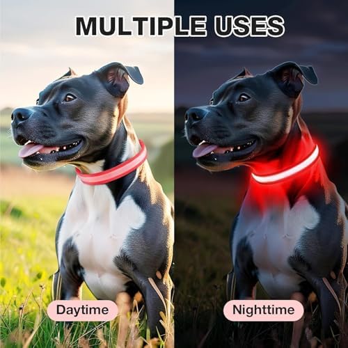 PcEoTllar Light up Dog Collar, Safe for Night Walking, Adjustable, Red, L - Image 5