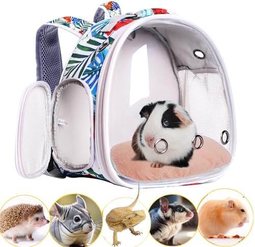 Hamster Backpack Carrier,Bearded Dragon Carrier Backpack for Kids with Clear Bubble Window,Small Animal Travel Backpack for Guinea pig Hedgehog Rat,Sugar Glider Airline Approved (Multicolor, Backpack) by WEVONIGU