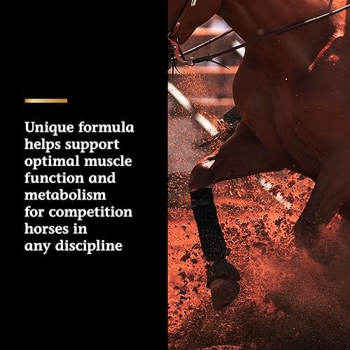Vita Flex Pro Lactanase Pre Performance Horse Supplements, 25 g Packets, Show Safe Horse Muscle Supplement, for Energy, Metabolism & Stamina | Equine Metabolism Support - Image 4