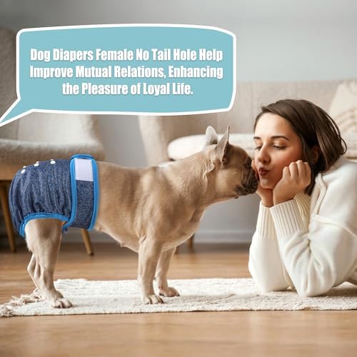 wegreeco Frenchie Dog Diapers Female No Tail Hole,Washable Pet French Puppy Bulldog Diapers Female for Period Heat,Reusable Doggy Doggie Dog Diapers （Jeans Large） - Image 6