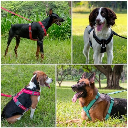 Plutus Pet No Pull Dog Harness, Adjustable Nylon Harness with Soft Padding - Image 6