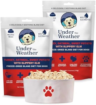 Under the Weather Bland Diet for Dogs | Easy to Digest Stomach Support for Sick Dogs | Contains Electrolytes, All Natural | 2 Pack - Turkey, Oatmeal, Sweet Potato & Slippery Elm - 6oz by UndertheWeather
