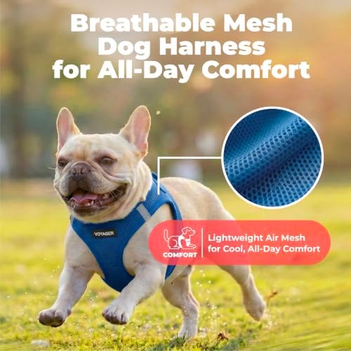 Voyager Step-in Air Dog Vest Harness - Royal Blue, XXX-Small - Image 5