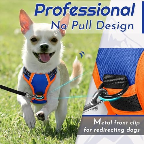 Eagloo Dog Harness for Small Dogs, No Pull Pet Vest with 2 Leash Clips - Image 3