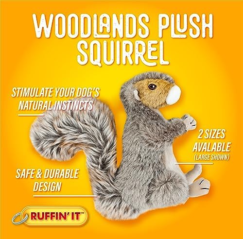 RUFFIN' IT Woodlands, Plush Squirrel, 8 in Squeaky Soft Stuffed, Dog Toy - Image 4