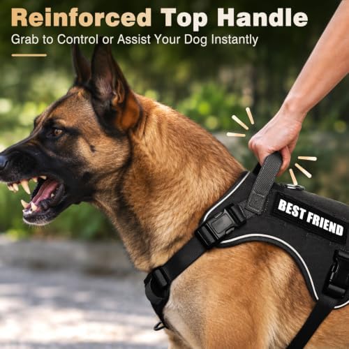 WINSEE No Pull Tactical Dog Harness with Leash Set with 2 Patches - Image 4