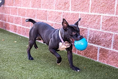 Jolly Pets Medium Jolly Soccer Ball Floating-Bouncing Dog Toy, 6”, Ocean Blue - Image 2