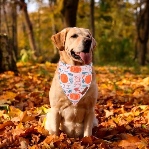 ADOGGYGO Thanksgiving Dog Bandana, Fall Pumpkin Dog Scarf, X-Large - Image 2