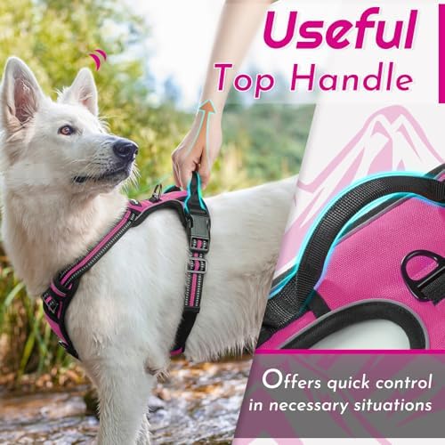 Eagloo Dog Harness for Large Dogs, No Pull Pet Vest with 2 Leash Clips - Image 4