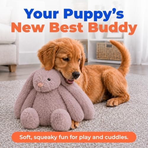 Best Pet Supplies Bunny Buddy Squeaky Plush Dog Toy - Mauve, Small - Image 2
