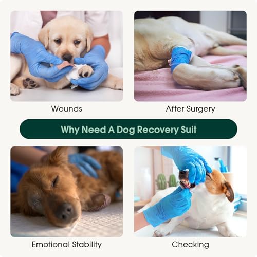 Kuoser Dog Recovery Suit, Female Male Spay Neuter Surgery Suit, Pink, XS - Image 5