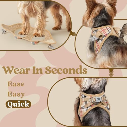 rabbitgoo Step-in Small Dog Harness, Puppy Vest for Small Sized Pet - Image 6