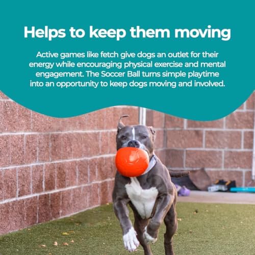 Jolly Pets Medium Soccer Ball Floating-Bouncing Dog Toy, 6 inch Diameter, Orange (SB06 OR) - Image 4