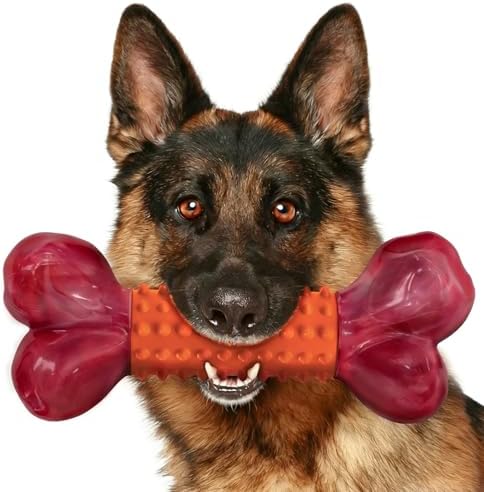 Tough Dog Toys for Aggressive Chewers: Peanut Butter Flavored Long Lasting Dog Bones for Large Dogs, Heavy Duty Nylon & Rubber Dog Chew Toys to Keep Them Busy, Medium & Large Breed, Orange by Apasiri