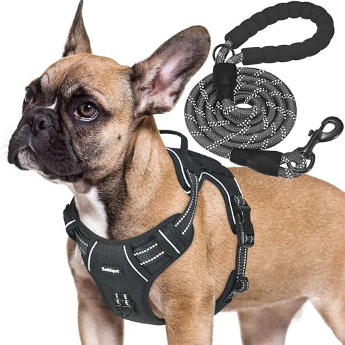 Beebiepet Tactical No Pull Dog Harness with Leash, Medium, Black by Beebielove