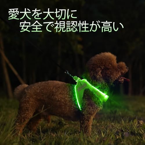 PcEoTllar Light Up Dog Harness, for Night Walking, Adjustable, Green, S - Image 3