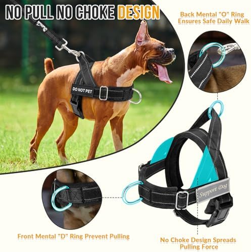 SlowTon No Pull Dog Harness and Leash Set - Heavy Duty, Soft Padded - Image 2