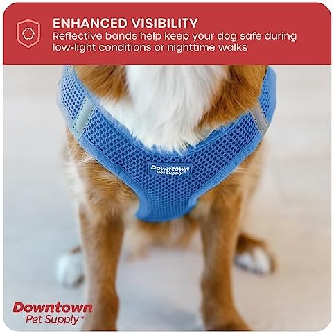 Downtown Pet Supply Step in Dog Harness for Teacup Dogs & Cats No Pull, XX-Small, Cobalt - Adjustable Harness with Padded Mesh Fabric and Reflective Trim - Buckle Strap Harness for Dogs - Image 7