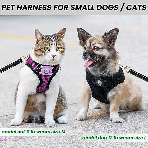 Dog Harness with AirTag Holder & 5 ft Leash Set for Small Dogs - Image 4