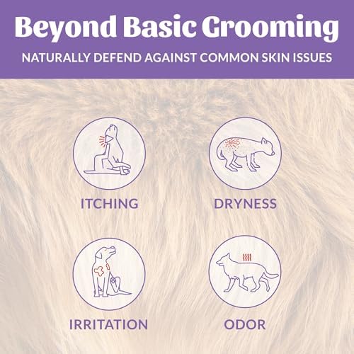 SKOUT'S HONOR Probiotic Dog Deodorizing Spray - Lavender, 8 oz, 2-Pack - Image 3