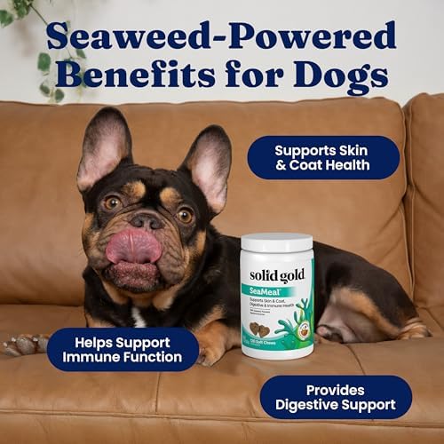 Solid Gold Dog Vitamins, Multivitamin Chews for Immune & Skin, 120ct - Image 2